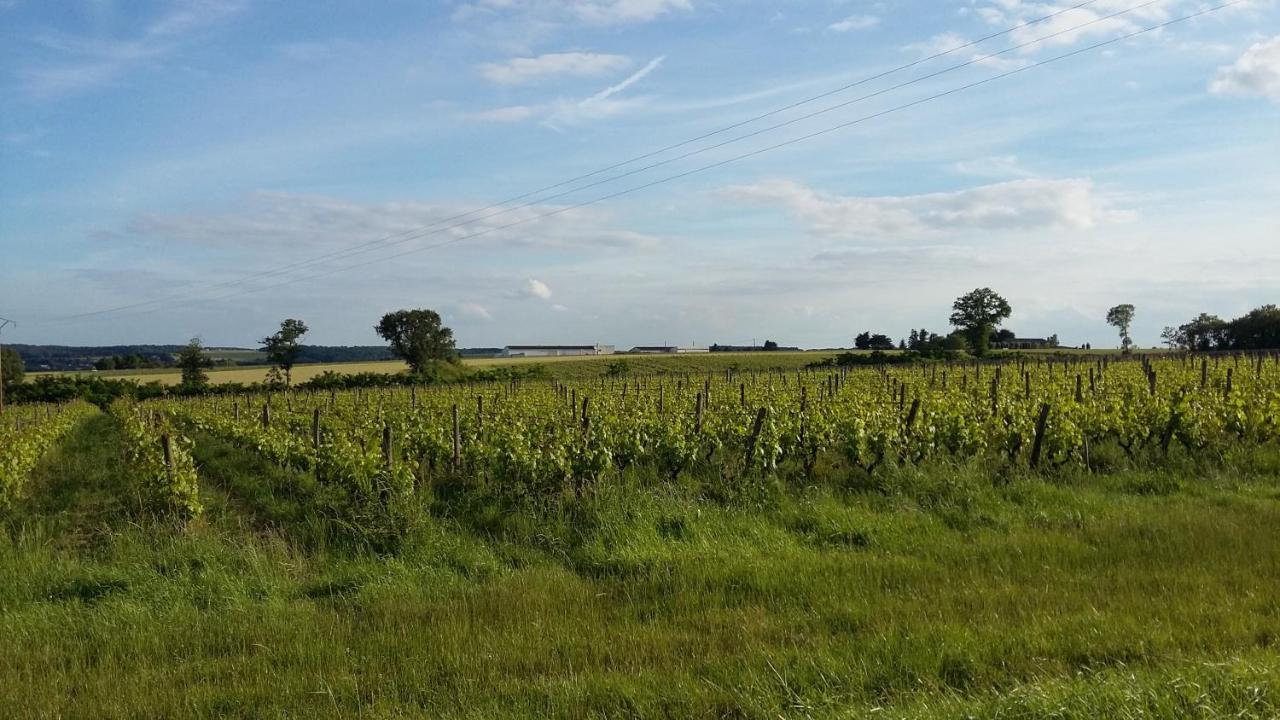 Gite-Civray-De-Touraine Maison De Denise Zewnętrze zdjęcie