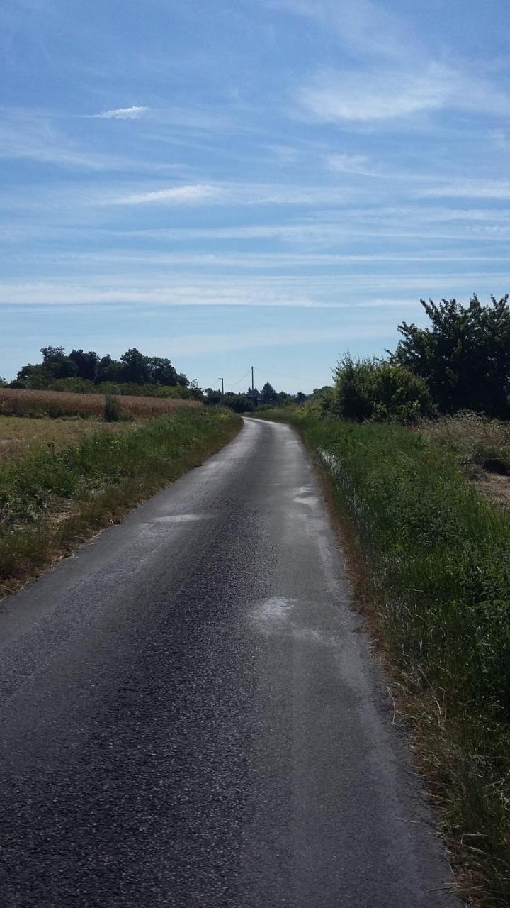 Gite-Civray-De-Touraine Maison De Denise Zewnętrze zdjęcie